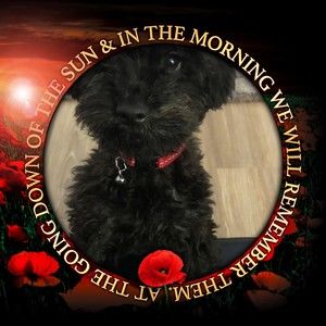 Meet your Posher, Kylie